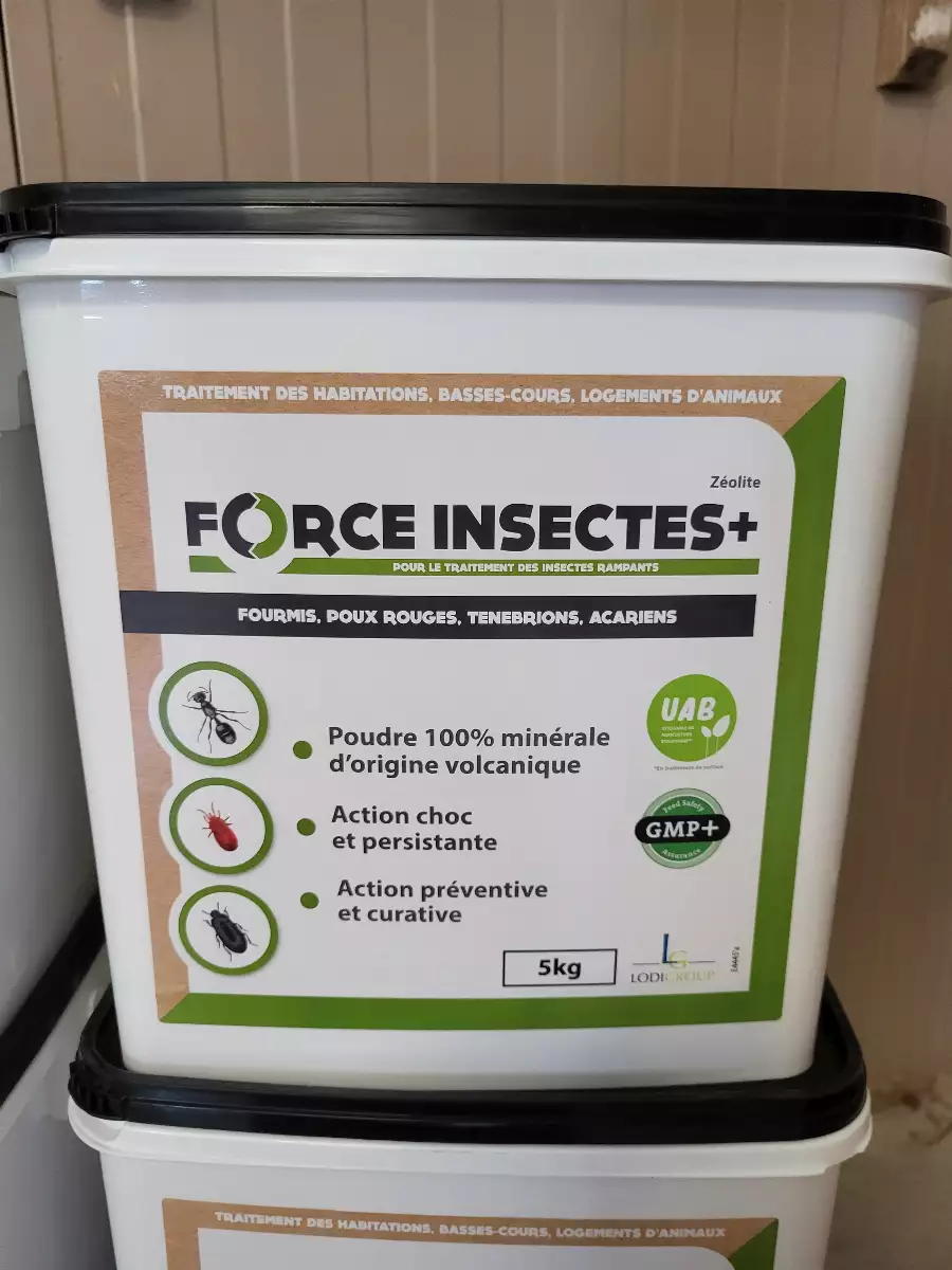 Force insecte+