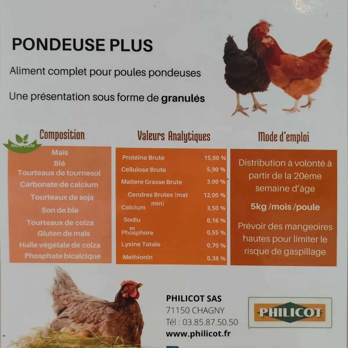 Aliment poule pondeuse