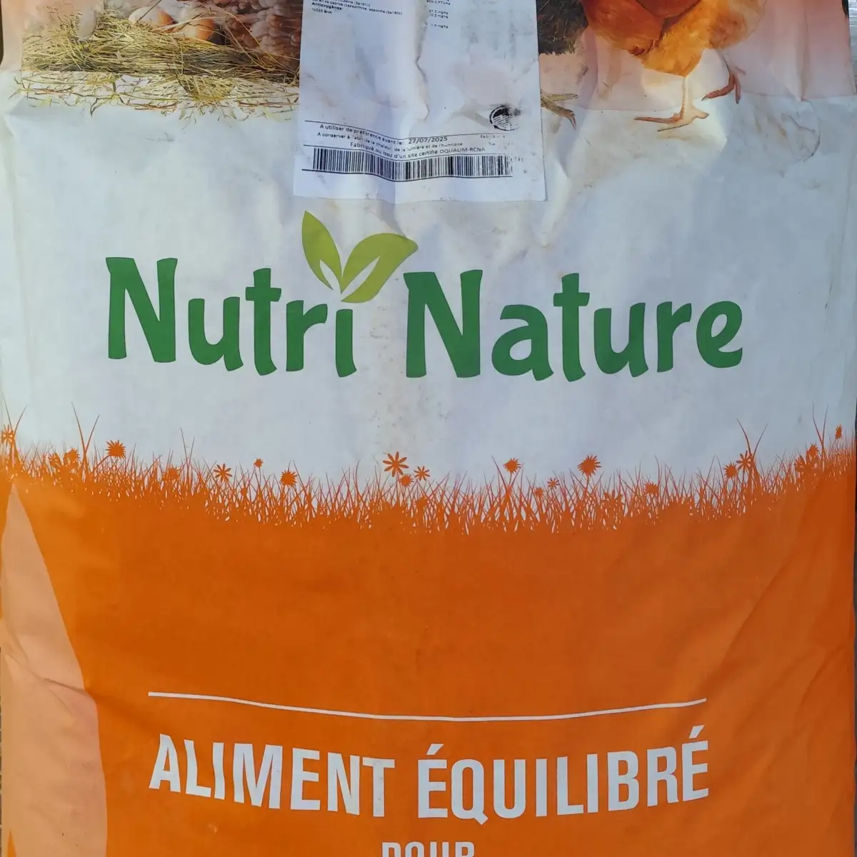 Aliment poule pondeuse